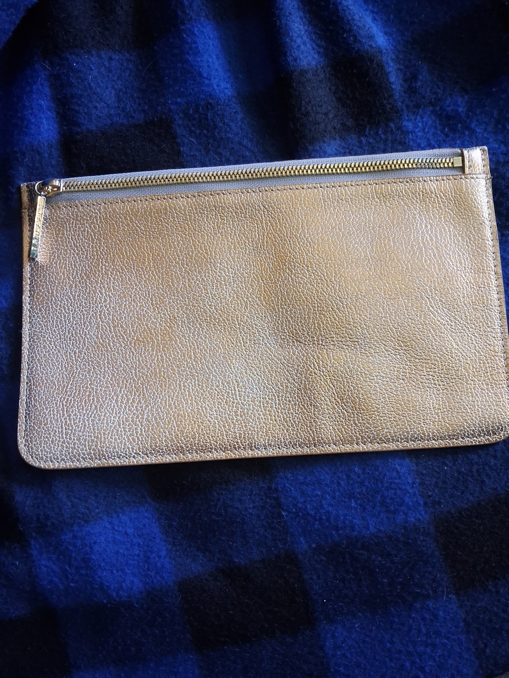 Metallic Gold Pouch  with Top Zip